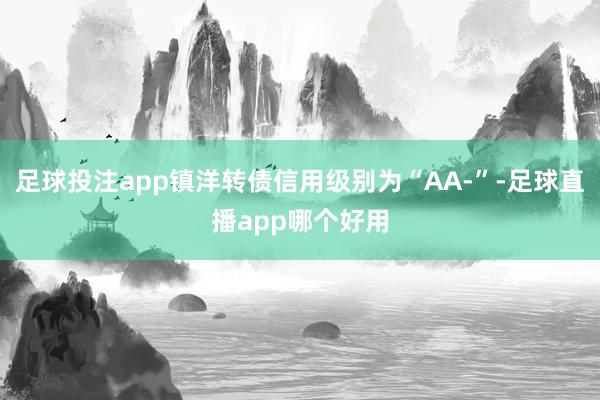 足球投注app镇洋转债信用级别为“AA-”-足球直播app哪个好用