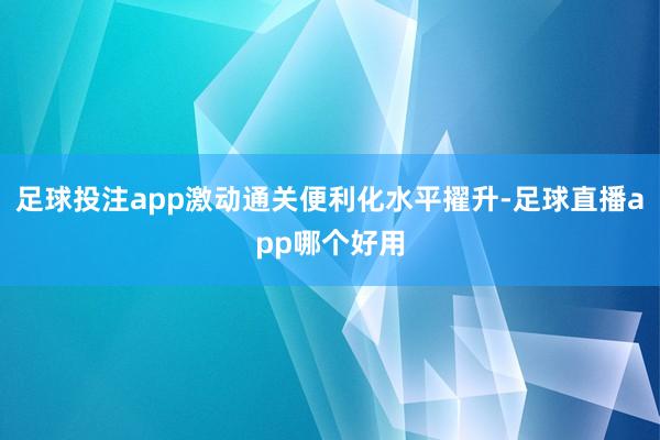 足球投注app激动通关便利化水平擢升-足球直播app哪个好用