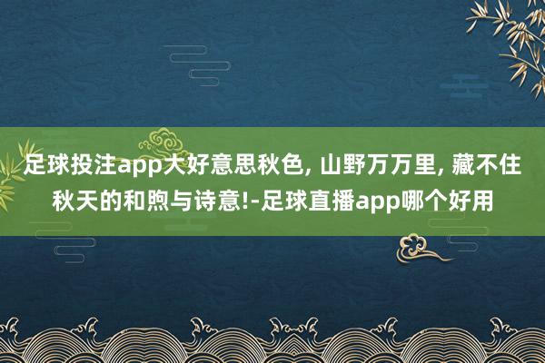 足球投注app大好意思秋色, 山野万万里, 藏不住秋天的和煦与诗意!-足球直播app哪个好用