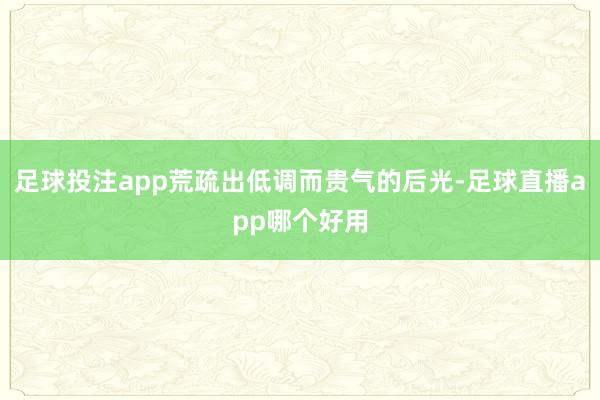 足球投注app荒疏出低调而贵气的后光-足球直播app哪个好用