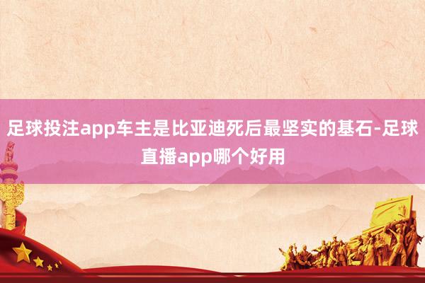 足球投注app车主是比亚迪死后最坚实的基石-足球直播app哪个好用