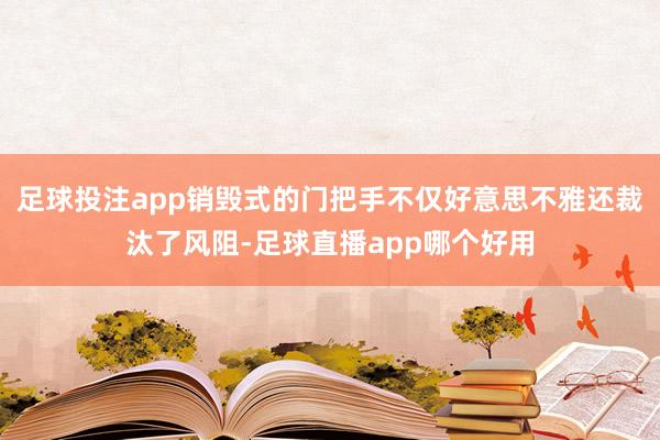 足球投注app销毁式的门把手不仅好意思不雅还裁汰了风阻-足球直播app哪个好用