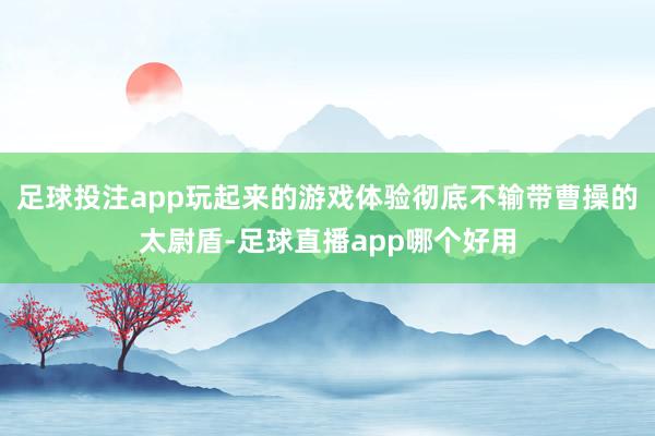 足球投注app玩起来的游戏体验彻底不输带曹操的太尉盾-足球直播app哪个好用