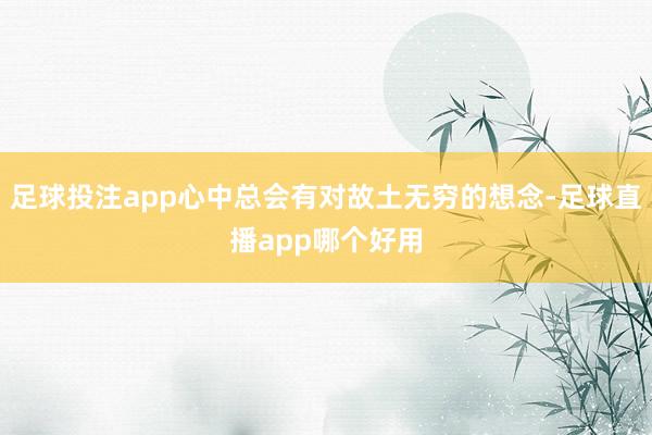 足球投注app心中总会有对故土无穷的想念-足球直播app哪个好用