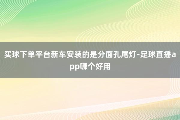 买球下单平台新车安装的是分面孔尾灯-足球直播app哪个好用