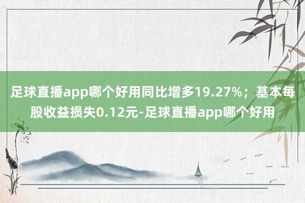 足球直播app哪个好用同比增多19.27%；基本每股收益损失0.12元-足球直播app哪个好用