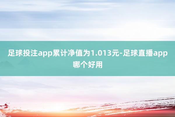 足球投注app累计净值为1.013元-足球直播app哪个好用