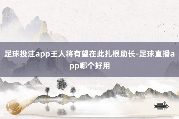 足球投注app王人将有望在此扎根助长-足球直播app哪个好用