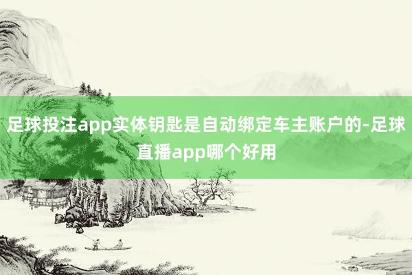 足球投注app实体钥匙是自动绑定车主账户的-足球直播app哪个好用