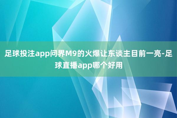 足球投注app问界M9的火爆让东谈主目前一亮-足球直播app哪个好用