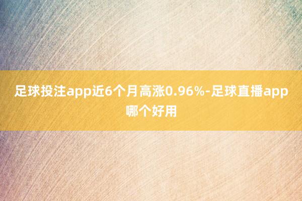 足球投注app近6个月高涨0.96%-足球直播app哪个好用