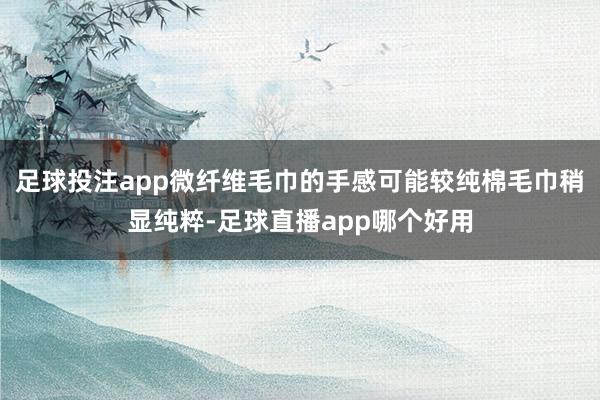 足球投注app微纤维毛巾的手感可能较纯棉毛巾稍显纯粹-足球直播app哪个好用