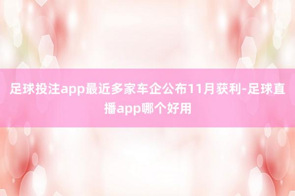 足球投注app最近多家车企公布11月获利-足球直播app哪个好用